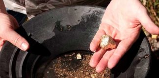 Чёрных старателей берут в официальный оборот