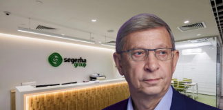 «Фанерные» схемы «Segezha Group»