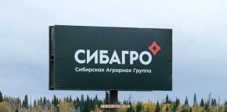 Директор «Сибагро»: информационный дилетантизм на грани фола