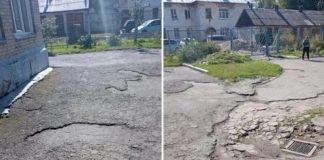 Глава СКР заинтересовался закрытием дела о смерти девочки в новосибирском детсаде