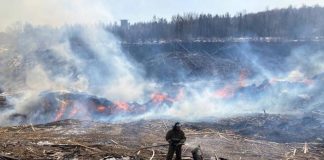 Огромный пожар на пилораме под Красноярском потушили спустя пять дней