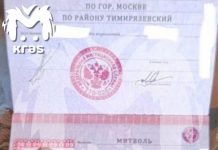 Телеграм Красноярска за неделю. Митволя обчистили, Усса низвергли и Котюков ин да хаус