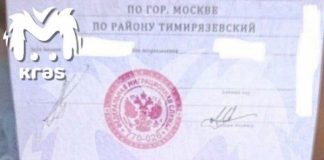 Телеграм Красноярска за неделю. Митволя обчистили, Усса низвергли и Котюков ин да хаус