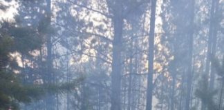 В Бурятии ликвидировали лесные пожары в Ceвepo-Бaйкaльcкoм и Бapгyзинcкoм paйoнax