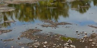 В Енисее снова упал уровень воды
