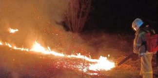 В Новосибирске спасатели и пожарные потушили пал травы, который угрожал двум поселкам