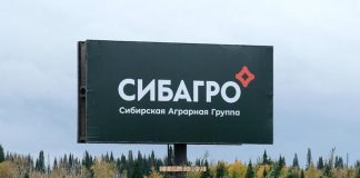 Преступный «Сибиряк»: почему нервничает «Сибагро»