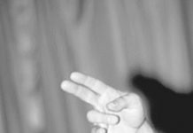 Cергею Мавроди возвратили должок // Глава МММ расплатился со следственными органами свободой