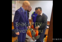Зика, Свекла и служители Фемиды