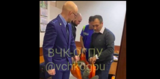 Зика, Свекла и служители Фемиды