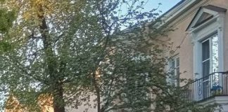 Политолога Соловейчика крайне удивило решение Совета по сохранению культурного наследства по «Нарвской заставе»