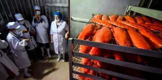 Ловись рыба большая и …