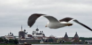 Госслужащих Министерства культуры заждались Соловки