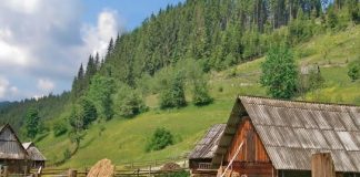 Для чего государственным служащим пригодилось переселять городскую молодежь на село
