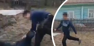 Глава СКР заинтересовался избиением школьника в Новосибирской области