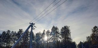 Незаконная ЛЭП в томском заказнике: «Россети» умывают руки?