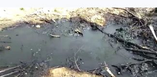 Разлив нефтепродуктов обнаружили в окрестностях села Новоюгино Томской области