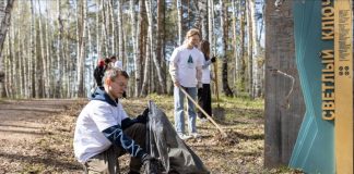 «Сибагро»: экологический цинизм продолжается