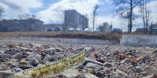 Там была «Чайка»: судьба территории бывшего кинотеатра и очередной провал Кобзева