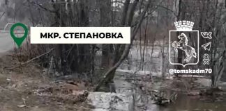 Ушайка подтопила 20 дачных участков в томском посёлке Заварзино