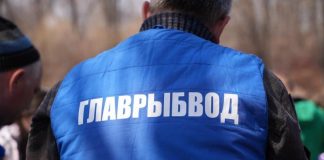 В Байкал выпустят больше 800 миллионов личинок омуля в 2023 году