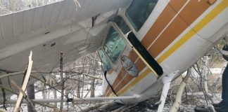 В Новосибирске упал частный самолет. Возбуждено уголовное дело