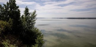 В Новосибирской области нашли тело пропавшего подростка