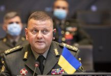 Тайны Валерия Залужного