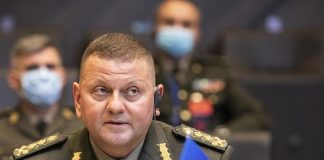 Тайны Валерия Залужного