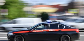 Александр Бастрыкин взялся за дачи