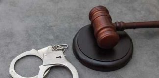 Российский военный в самоволке напал на супругу, похитил сосну и получил 7 лет
