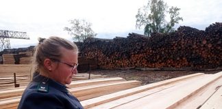 Из Томской области за пять месяцев вывезена 491 тысяча кубов леса. Большая часть – за рубеж