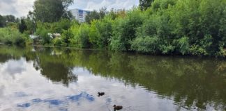 Подведены итоги голосования томичей за объекты благоустройства 2024 года