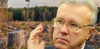 Суд вынес приговор членам ОПГ, которую возглавлял родственник Александра Усса