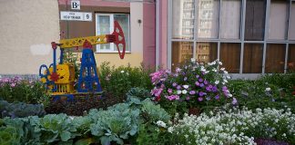 Заявки на конкурс «Томский дворик» принимаются с 13 июня