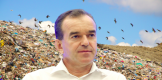 Кубанский сбор поблизости полигона твердых бытовых отходов