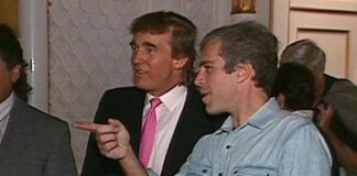 Джеффри Эпштейн катал Клинтона и Дональда Трампа на джете.