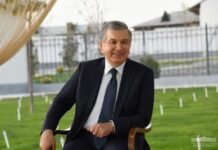 «Малая Австрия» Шавката Мирзиеева.