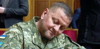 За все ответит Залужный