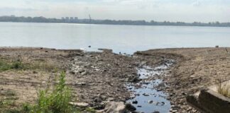 Сколько же «МЕТРО Мир» будет на слуху? Скандальные директора и незаконный слив