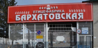 Власти Красноярского края снова пытаются продать «Бархатовскую» птицефабрику