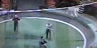 Лупили палками и обливали водой