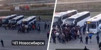 Глава СКР заинтересовался потасовкой в Толмачево Новосибирской области