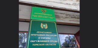 В департаменте природных ресурсов Томской области новый и.о. руководителя