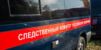 В Новосибирской области мужчина погиб в яме с семенами подсолнуха