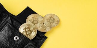 За хищение 20 биткоинов осужден пасынок скандально известного адвоката Константина Скрипника