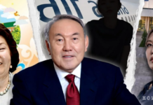 Бывший президент Казахстана в собственной книжке сообщил про молоденькую супругу Асель, которая родила ему двоих сыновей в 2005 и 2008 гг.