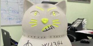 Павла Герасимова завлекли за «кота в законе».