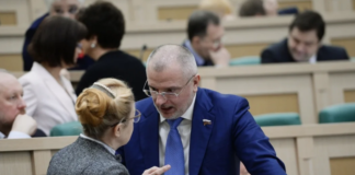 Как «сероватые кардиналы» ВС Россия «мочили» Мизулину и Клишаса