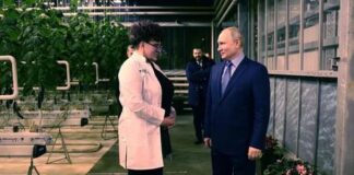 Оранжерейные условия для Романа Макатрова.
